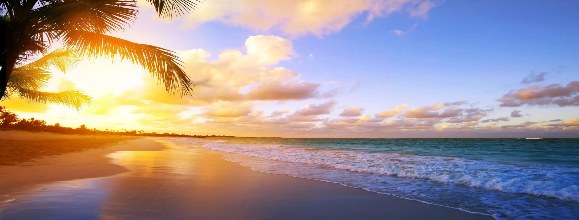 Image for Beautiful Paradise